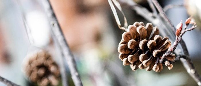 hotel clara restaurant urlaub in vahrn bei brixen suedtirol dolomiten italien (4) hotel clara restaurant urlaub in vahrn bei brixen suedtirol dolomiten italien (4)