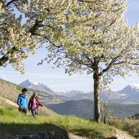 hotel clara vahrn bei brixen südtirol dolomiten eisacktal italien (13)