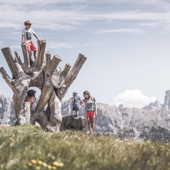 plose woodywalk südtirol familie spaß dolomiten (1)