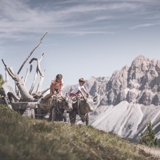 plose woodywalk südtirol familie spaß dolomiten (2)