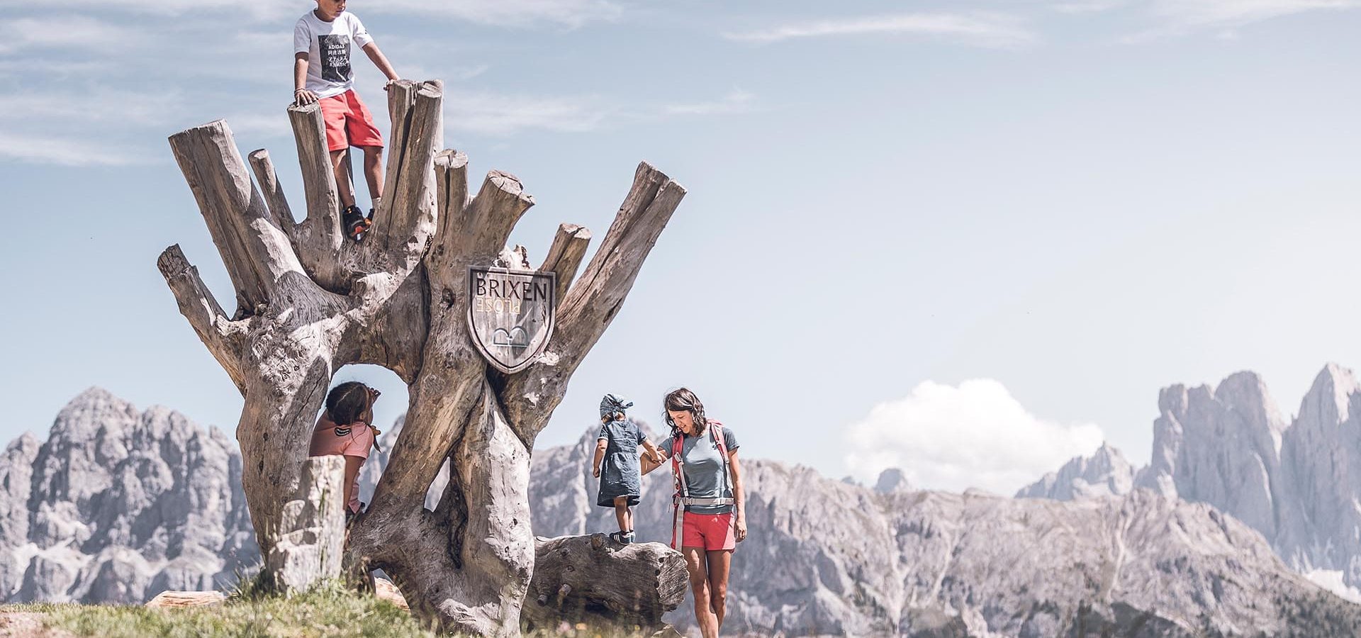 Wandern in den Dolomiten auf der Plose Wanderhotel in Südtirol im Eisacktal Woody Walk (2)