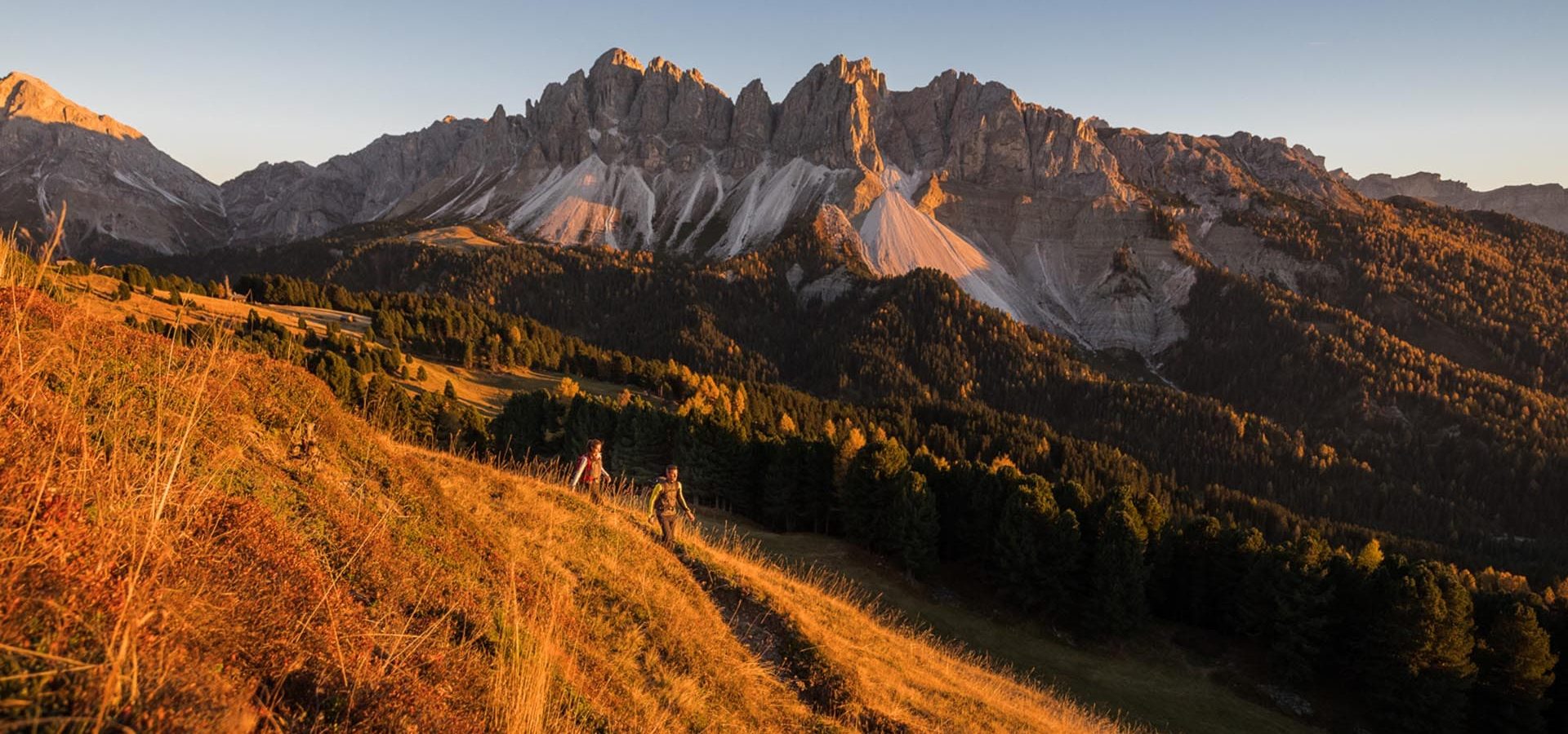 Wandern in den Dolomiten auf der Plose Wanderhotel in Südtirol im Eisacktal Woody Walk (5)